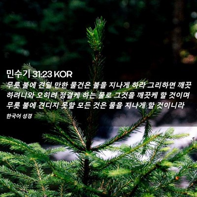 Picture 02 - 민수기 31:23 KOR - 무릇 불에 견딜 만한 물건은 불을 - Bible Verse Picture