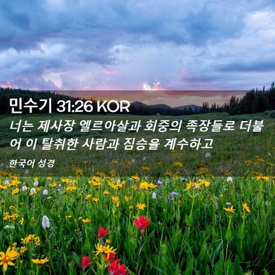 Picture 02 - 민수기 31:26 KOR - 너는 제사장 엘르아살과 회중의 - Bible Verse Picture