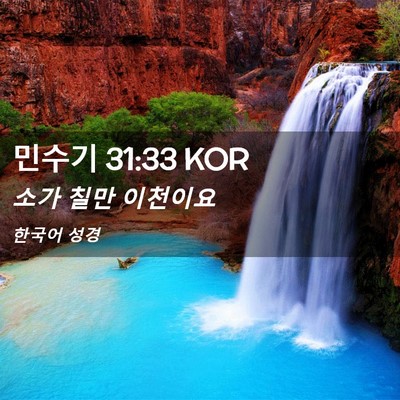 Picture 02 - 민수기 31:33 KOR - 소가 칠만 - Bible Verse Picture
