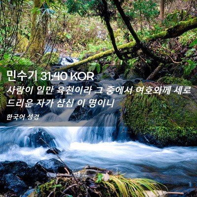 Picture 02 - 민수기 31:40 KOR - 사람이 일만 육천이라 그 중에서 - Bible Verse Picture
