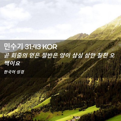 Picture 02 - 민수기 31:43 KOR - 곧 회중의 얻은 절반은 양이 삼십 - Bible Verse Picture