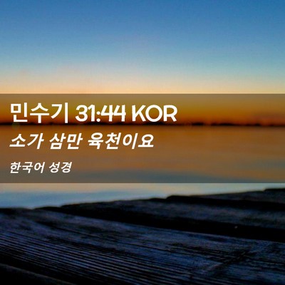 Picture 02 - 민수기 31:44 KOR - 소가 삼만 - Bible Verse Picture