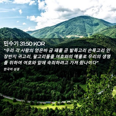Picture 02 - 민수기 31:50 KOR - 