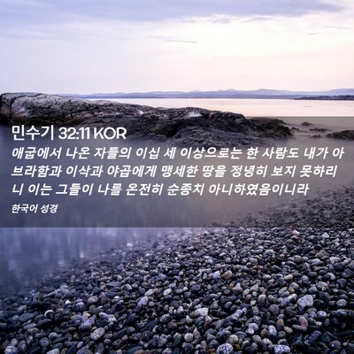 Picture 02 - 민수기 32:11 KOR - 애굽에서 나온 자들의 이십 세 - Bible Verse Picture