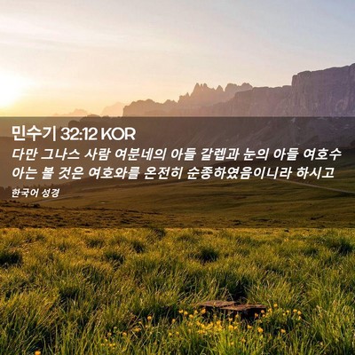 Picture 02 - 민수기 32:12 KOR - 다만 그나스 사람 여분네의 아들 - Bible Verse Picture