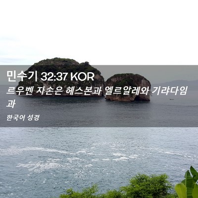 Picture 02 - 민수기 32:37 KOR - 르우벤 자손은 헤스본과 엘르알레와 - Bible Verse Picture