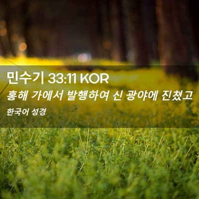Picture 02 - 민수기 33:11 KOR - 홍해 가에서 발행하여 신 광야에 - Bible Verse Picture