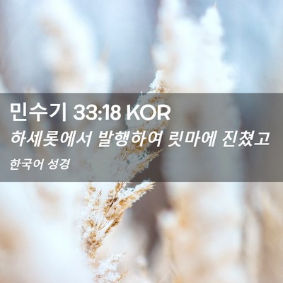 Picture 02 - 민수기 33:18 KOR - 하세롯에서 발행하여 릿마에 - Bible Verse Picture