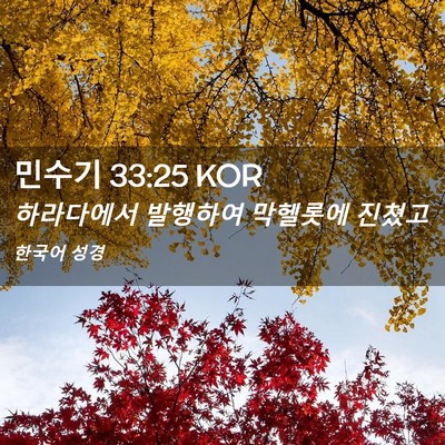 Picture 02 - 민수기 33:25 KOR - 하라다에서 발행하여 막헬롯에 - Bible Verse Picture