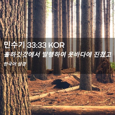 Picture 02 - 민수기 33:33 KOR - 홀하깃갓에서 발행하여 욧바다에 - Bible Verse Picture