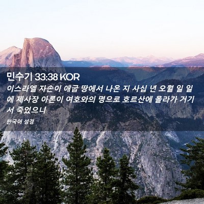 Picture 02 - 민수기 33:38 KOR - 이스라엘 자손이 애굽 땅에서 나온 - Bible Verse Picture