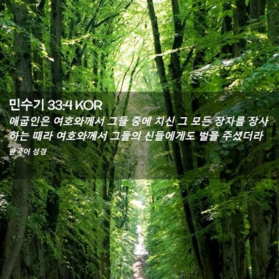 Picture 02 - 민수기 33:4 KOR - 애굽인은 여호와께서 그들 중에 치신 - Bible Verse Picture