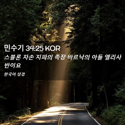 Picture 02 - 민수기 34:25 KOR - 스블론 자손 지파의 족장 바르낙의 - Bible Verse Picture
