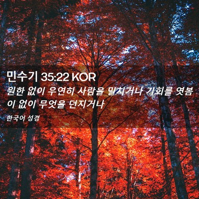 Picture 02 - 민수기 35:22 KOR - 원한 없이 우연히 사람을 밀치거나 - Bible Verse Picture