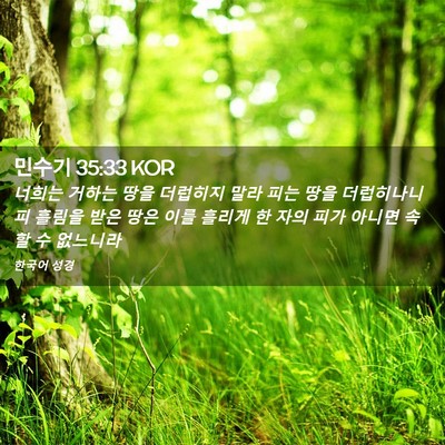 Picture 02 - 민수기 35:33 KOR - 너희는 거하는 땅을 더럽히지 말라 - Bible Verse Picture