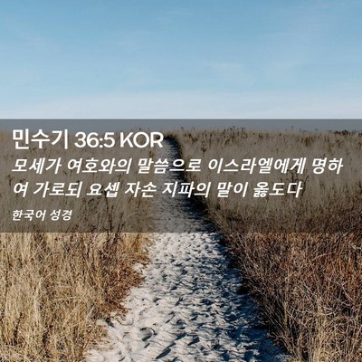 Picture 02 - 민수기 36:5 KOR - 모세가 여호와의 말씀으로 - Bible Verse Picture