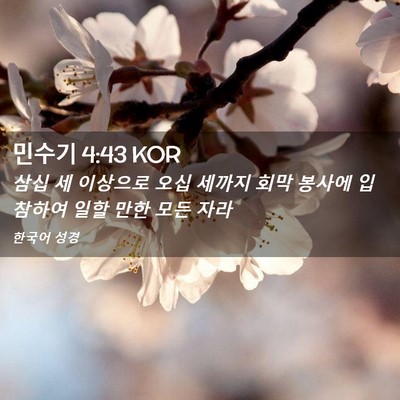 Picture 02 - 민수기 4:43 KOR - 삼십 세 이상으로 오십 세까지 회막 - Bible Verse Picture