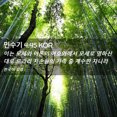 Picture 02 - 민수기 4:45 KOR - 이는 모세와 아론이 여호와께서 - Bible Verse Picture