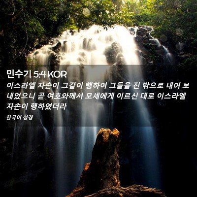 Picture 02 - 민수기 5:4 KOR - 이스라엘 자손이 그같이 행하여 - Bible Verse Picture