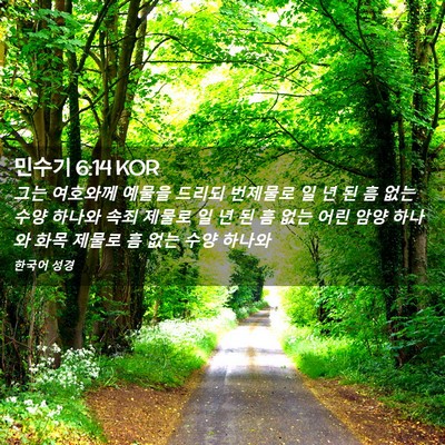 Picture 02 - 민수기 6:14 KOR - 그는 여호와께 예물을 드리되 - Bible Verse Picture