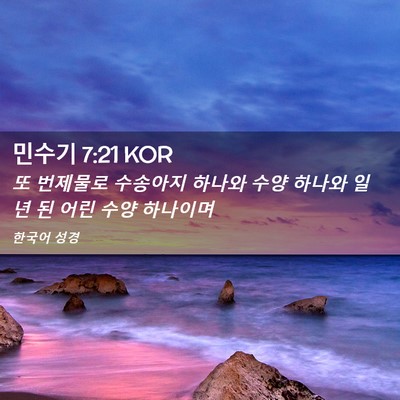 Picture 02 - 민수기 7:21 KOR - 또 번제물로 수송아지 하나와 수양 - Bible Verse Picture