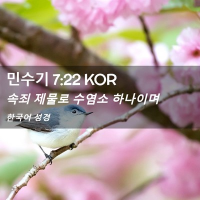 Picture 02 - 민수기 7:22 KOR - 속죄 제물로 수염소 - Bible Verse Picture