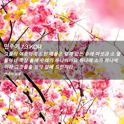 Picture 02 - 민수기 7:3 KOR - 그들의 여호와께 드린 예물은 덮개 - Bible Verse Picture