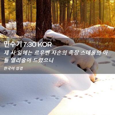 Picture 02 - 민수기 7:30 KOR - 제 사 일에는 르우벤 자손의 족장 - Bible Verse Picture