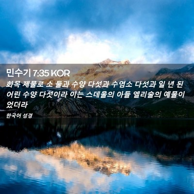 Picture 02 - 민수기 7:35 KOR - 화목 제물로 소 둘과 수양 다섯과 - Bible Verse Picture