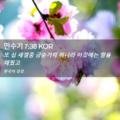 Picture 02 - 민수기 7:38 KOR - 또 십 세겔중 금숟가락 하나라 - Bible Verse Picture