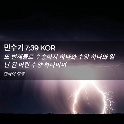 Picture 02 - 민수기 7:39 KOR - 또 번제물로 수송아지 하나와 수양 - Bible Verse Picture