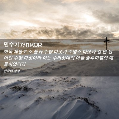 Picture 02 - 민수기 7:41 KOR - 화목 제물로 소 둘과 수양 다섯과 - Bible Verse Picture