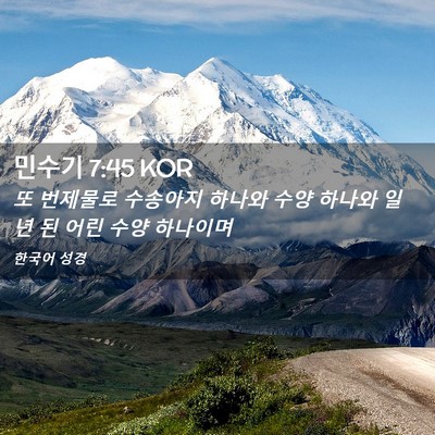 Picture 02 - 민수기 7:45 KOR - 또 번제물로 수송아지 하나와 수양 - Bible Verse Picture