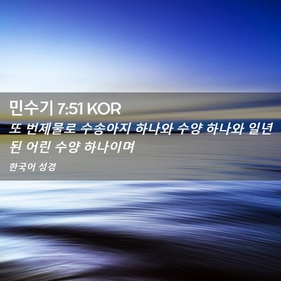 Picture 02 - 민수기 7:51 KOR - 또 번제물로 수송아지 하나와 수양 - Bible Verse Picture