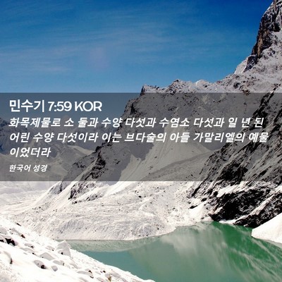 Picture 02 - 민수기 7:59 KOR - 화목제물로 소 둘과 수양 다섯과 - Bible Verse Picture