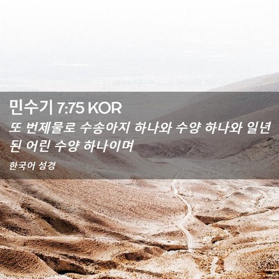 Picture 02 - 민수기 7:75 KOR - 또 번제물로 수송아지 하나와 수양 - Bible Verse Picture
