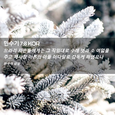 Picture 02 - 민수기 7:8 KOR - 므라리 자손들에게는 그 직임대로 - Bible Verse Picture