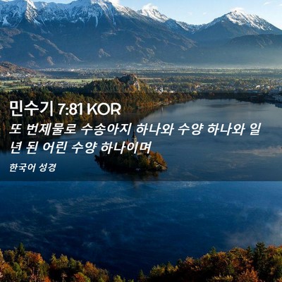 Picture 02 - 민수기 7:81 KOR - 또 번제물로 수송아지 하나와 수양 - Bible Verse Picture