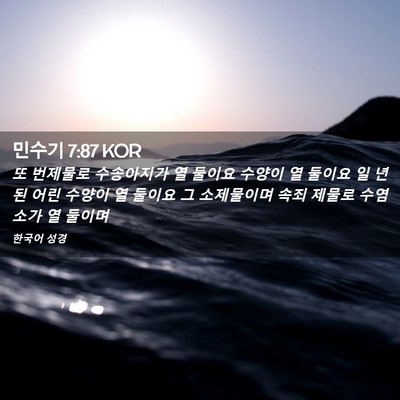 Picture 02 - 민수기 7:87 KOR - 또 번제물로 수송아지가 열 둘이요 - Bible Verse Picture