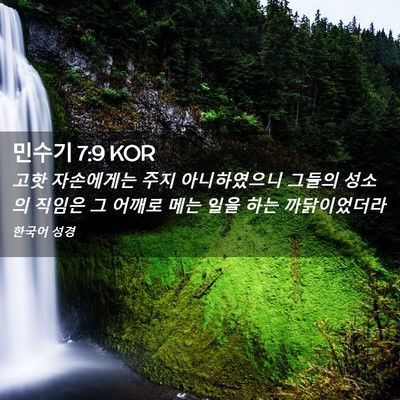 Picture 02 - 민수기 7:9 KOR - 고핫 자손에게는 주지 아니하였으니 - Bible Verse Picture