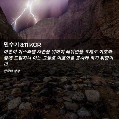 Picture 02 - 민수기 8:11 KOR - 아론이 이스라엘 자손을 위하여 - Bible Verse Picture
