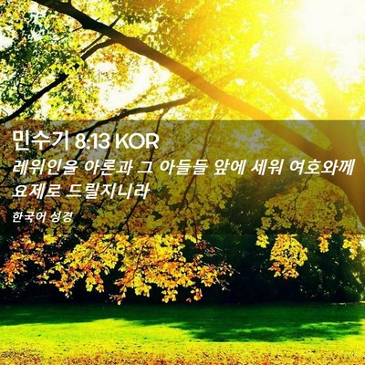 Picture 02 - 민수기 8:13 KOR - 레위인을 아론과 그 아들들 앞에 - Bible Verse Picture