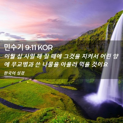 Picture 02 - 민수기 9:11 KOR - 이월 십 사일 해 질 때에 그것을 - Bible Verse Picture