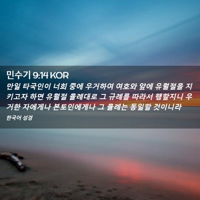 Picture 02 - 민수기 9:14 KOR - 만일 타국인이 너희 중에 우거하여 - Bible Verse Picture