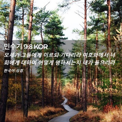 Picture 02 - 민수기 9:8 KOR - 모세가 그들에게 이르되 기다리라 - Bible Verse Picture