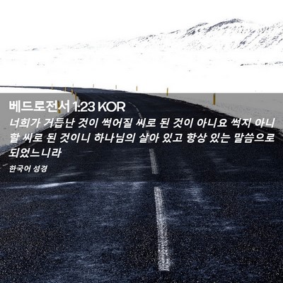 Picture 02 - 베드로전서 1:23 KOR - 너희가 거듭난 것이 썩어질 씨로 된 - Bible Verse Picture