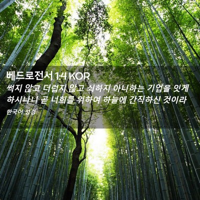 Picture 02 - 베드로전서 1:4 KOR - 썩지 않고 더럽지 않고 쇠하지 - Bible Verse Picture