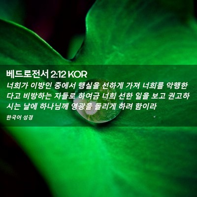 Picture 02 - 베드로전서 2:12 KOR - 너희가 이방인 중에서 행실을 선하게 - Bible Verse Picture