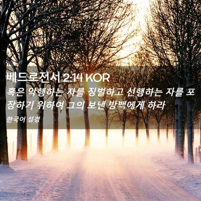 Picture 02 - 베드로전서 2:14 KOR - 혹은 악행하는 자를 징벌하고 - Bible Verse Picture