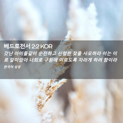 Picture 02 - 베드로전서 2:2 KOR - 갓난 아이들같이 순전하고 신령한 - Bible Verse Picture